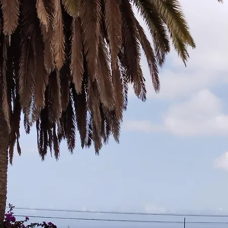 Loft Lisara Apartman *